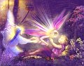 Fairy - Baby with Fairies